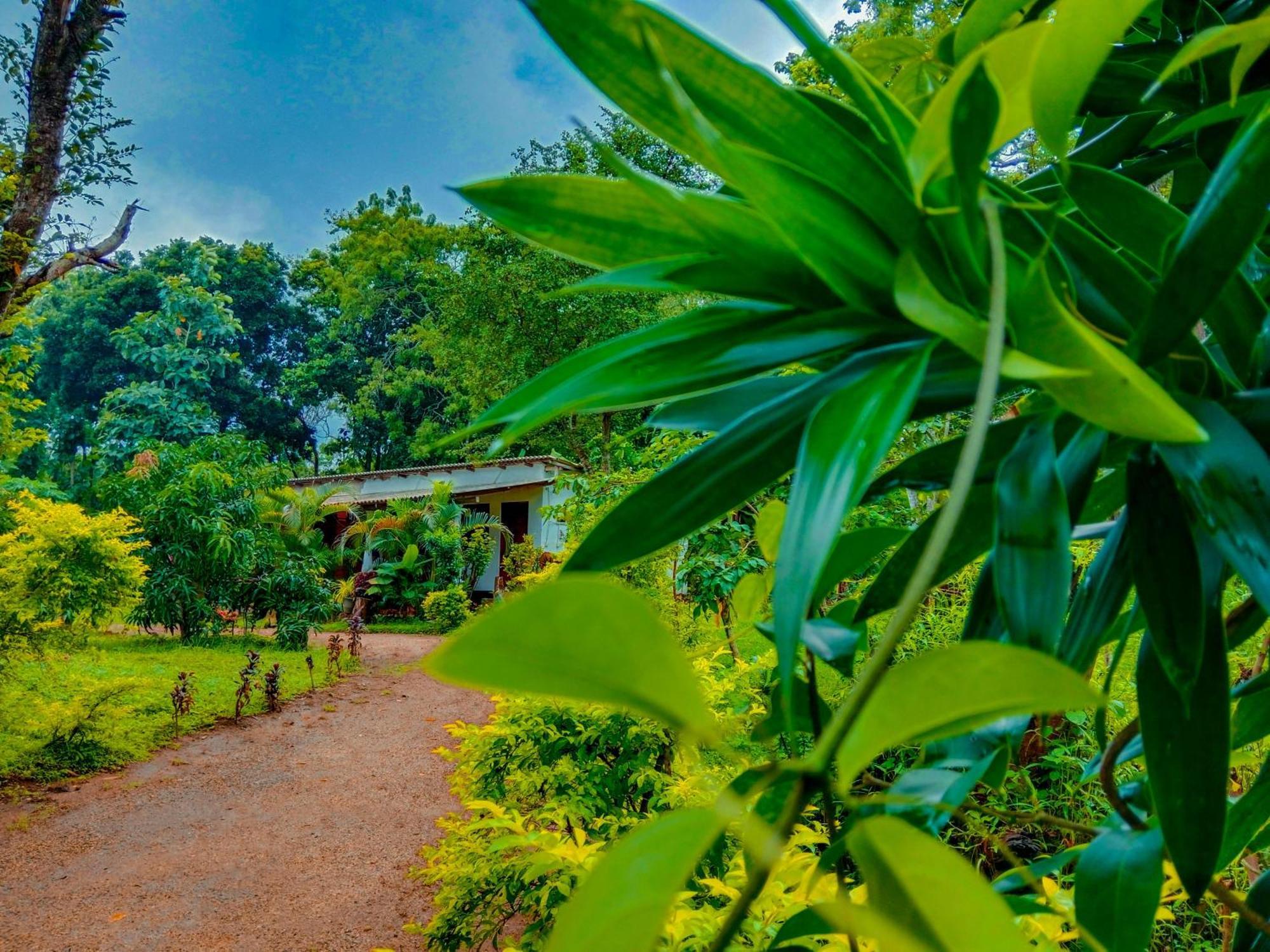 Chanaka Holiday Inn Sigiriya Eksteriør billede