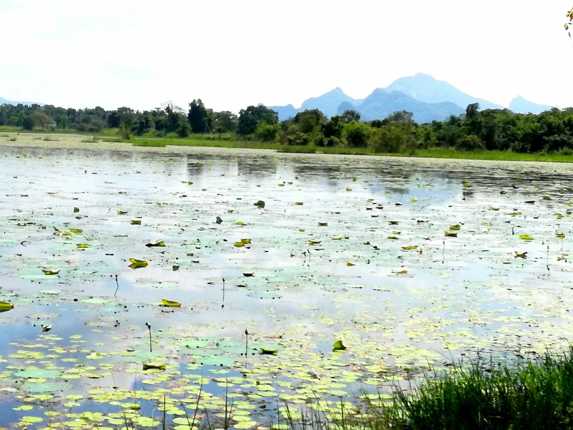 Chanaka Holiday Inn Sigiriya Eksteriør billede